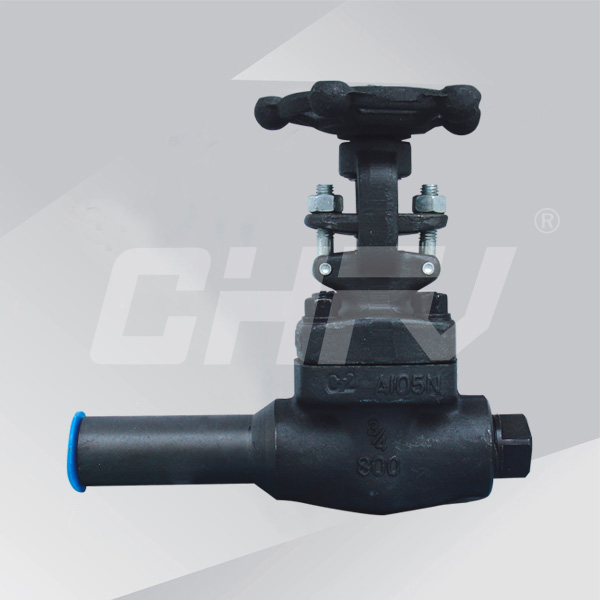 �����L(zh��ng)�y�w�l�y